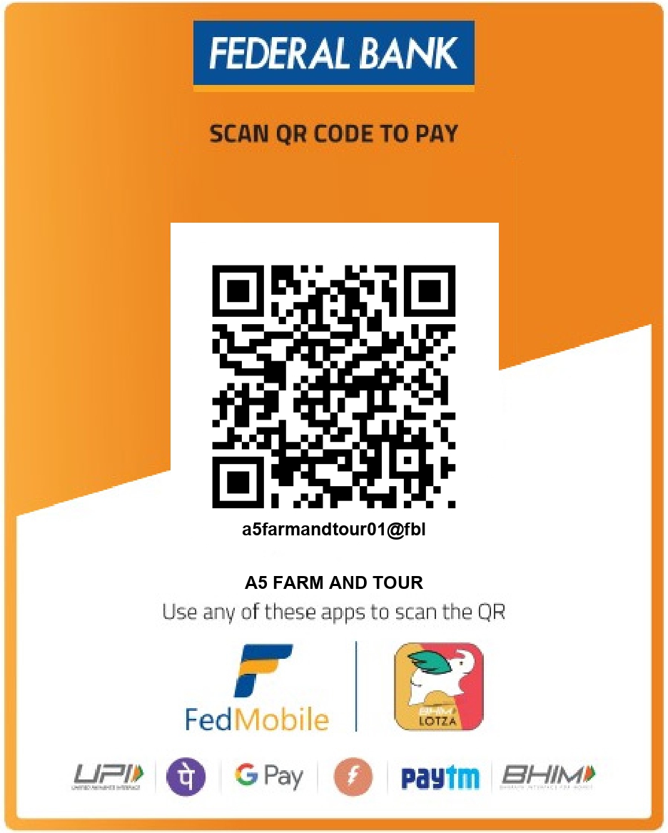 A5 Payment QR Code